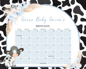 663 Boy Holy Cow Baby Shower Calendar 10x8: 663 Boy Holy Cow Baby Shower Mega Bundle