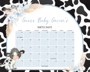 663 Boy Holy Cow Baby Shower Calendar 20x16: 663 Boy Holy Cow Baby Shower Mega Bundle