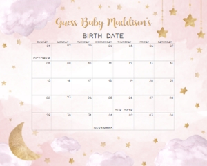 256 Pink Twinkle Twinkle Little Star Baby Shower Calendar 20x16: 256 Pink Twinkle Twinkle Little Star Baby Shower Calendar