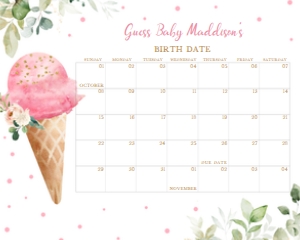 333 Pink Ice Cream Baby Shower Calendar 20x16: 333 Pink Ice Cream Baby Shower Calendar