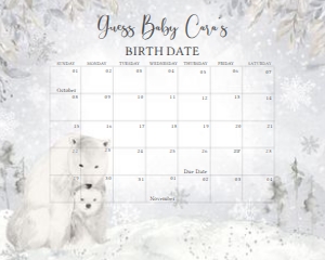 539 Polar Bear Baby Shower Calendar 20x16: 539 Polar Bear Baby Shower Calendar539 Polar Bear Baby Shower Calendar