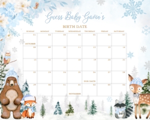 560 Blue Winter Woodland Animals Baby Shower Calendar 20x16: 560 Blue Winter Woodland Animals Baby Shower Calendar
