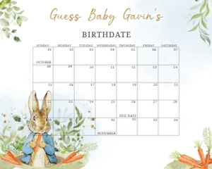 625 Blue Peter Rabbit Baby Shower Calendar design preview