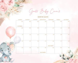 619 Pink Boho Balloon Elephant Baby Shower Calendar 20x16: 619 Pink Boho Balloon Elephant Baby Shower Calendar