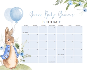 664 Blue Peter Rabbit Baby Shower Calendar 20x16: 664 Blue Peter Rabbit Baby Shower Calendar
