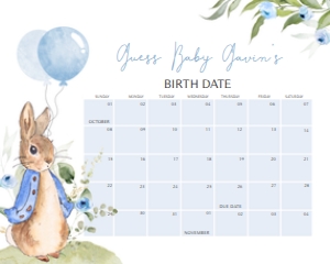 664 Blue Peter Rabbit Baby Shower Calendar 10x8: 664 Blue Peter Rabbit Baby Shower Calendar