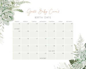 679 Greenery Succulent Baby in Bloom Baby Shower Calendar 10x8: 679 Greenery Succulent Baby in Bloom Baby Shower Calendar