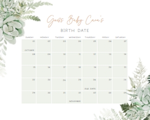 679 Greenery Succulent Baby in Bloom Baby Shower Calendar 20x16: 679 Greenery Succulent Baby in Bloom Baby Shower Calendar
