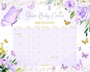 682 Gold Purple Butterfly Baby Shower Calendar 20x16: 682 Gold Purple Butterfly Baby Shower Calendar