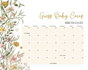 685 Wildflower Baby in Bloom Baby Shower Calendar 20x16: 685 Wildflower Baby in Bloom Baby Shower Calendar