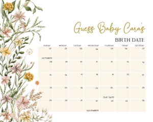 685 Wildflower Baby in Bloom Baby Shower Calendar 10x8: 685 Wildflower Baby in Bloom Baby Shower Calendar