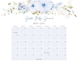 684 Blue Baby in Bloom Baby Shower Calendar 10x8: 684 Blue Baby in Bloom Baby Shower Calendar