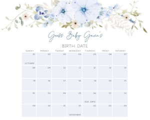 684 Blue Baby in Bloom Baby Shower Calendar 20x16: 684 Blue Baby in Bloom Baby Shower Calendar