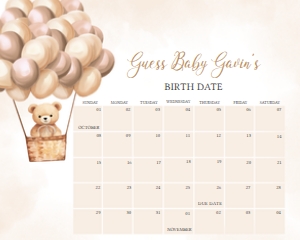 698 Brown Hot Air Balloon Bear Baby Shower Calendar 20x16: 698 Brown Hot Air Balloon Bear Baby Shower Calendar