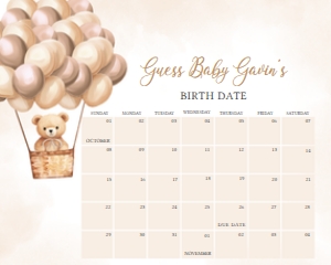698 Brown Hot Air Balloon Bear Baby Shower Calendar 10x8: 698 Brown Hot Air Balloon Bear Baby Shower Calendar