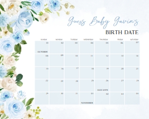 707 Blue Baby in Bloom Baby Shower Calendar 10x8: 707 Blue Baby in Bloom Baby Shower Calendar