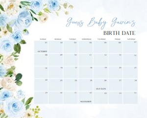 707 Blue Baby in Bloom Baby Shower Calendar 20x16: 707 Blue Baby in Bloom Baby Shower Calendar