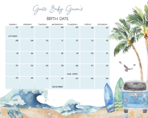 709 Baby on Board Baby Shower Calendar 10x8: 709 Baby on Board Baby Shower Mega Bundle