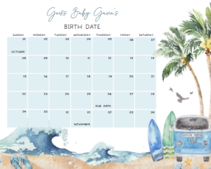 709 Baby on Board Baby Shower Calendar 20x16: 709 Baby on Board Baby Shower Mega Bundle