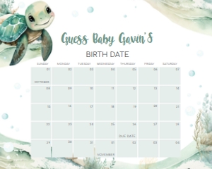 712 Sea Turtle Baby Shower Calendar 20x16: 712 Sea Turtle Baby Shower Mega Bundle