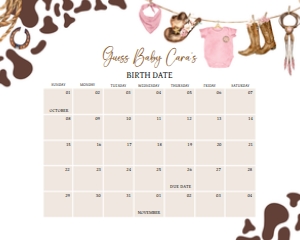 727 A Little Cowgirl Baby Shower Calendar 20x16: 727 A Little Cowgirl Baby Shower Calendar