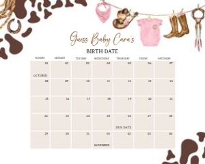727 A Little Cowgirl Baby Shower Calendar 10x8: 727 A Little Cowgirl Baby Shower Calendar