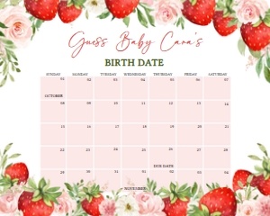 729 Strawberry Berry Sweet Baby Shower Calendar 20x16: 729 Strawberry Berry Sweet Baby Shower Mega Bundle