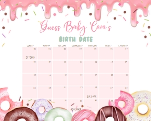 750 Pink Dripping Glaze Donuts and Diapers Baby Shower Calendar 10x8: 750 Pink Dripping Glaze Donuts and Diapers Baby Shower Calendar