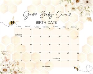 790 Honey Baby Shower Calendar design preview