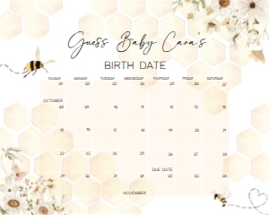 790 Honey Baby Shower Calendar 20x16: 790 Honey Baby Shower Calendar