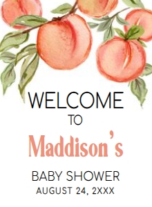 796 Peach Baby Shower Welcome Sign 11x15: 796 Peach Baby Shower Welcome Sign