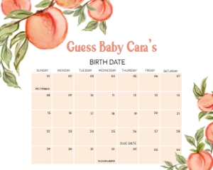 796 Peach Baby Shower Calendar 10x8: 796 Peach Baby Shower Calendar