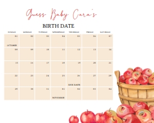 846 Apple Baby Shower Calendar 20x16: 846 Apple Baby Shower Calendar