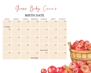 846 Apple Baby Shower Calendar 10x8: 846 Apple Baby Shower Calendar