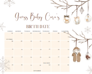 975 Merry Little Baby Shower Calendar 10x8: 975 Merry Little Baby Shower Calendar