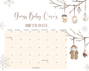 975 Merry Little Baby Shower Calendar design preview