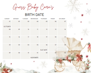 982 Merry Little Baby Shower Calendar 10x8: 982 Merry Little Baby Shower Calendar