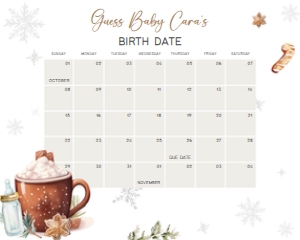 984 Snowflakes Baby it's Cold Outside Baby Shower Calendar 10x8 A: 984 Snowflakes Baby it's Cold Outside Baby Shower Calendar
