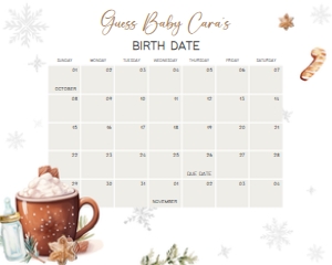 984 Snowflakes Baby it's Cold Outside Baby Shower Calendar 20x16 A: 984 Snowflakes Baby it's Cold Outside Baby Shower Calendar