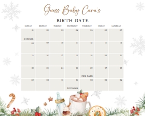 984 Snowflakes Baby it's Cold Outside Baby Shower Calendar 20x16 B: 984 Snowflakes Baby it's Cold Outside Baby Shower Calendar