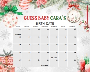 989 Red Green Christmas Ornament Baby Shower 20x16: 989 Red Green Christmas Ornament Baby Shower Calendar