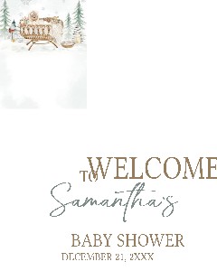 991 Baby it's Cold Outside Baby Shower Welcome Sign design preview