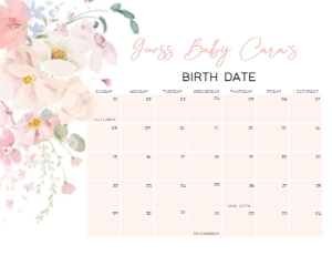 1009 Baby in Bloom Baby Shower Calendar 20x16 A: 1009 Baby in Bloom Baby Shower Calendar