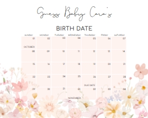 1010 A Little Wildflower Baby Shower Calendar 20x16 A: 1010 A Little Wildflower Baby Shower Calendar