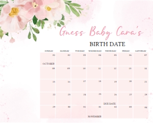 1017 Pink Floral Baby Shower Calendar 20x16 A: 1017 Pink Floral Baby Shower Calendar