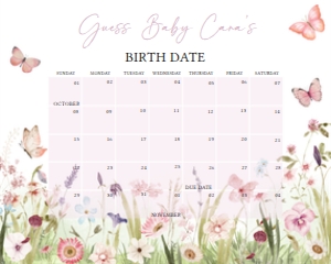 1021 Butterfly Baby Shower Calendar 10x8 A: 1021 Butterfly Baby Shower Calendar
