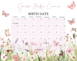 1021 Butterfly Baby Shower Calendar 20x16 A: 1021 Butterfly Baby Shower Calendar