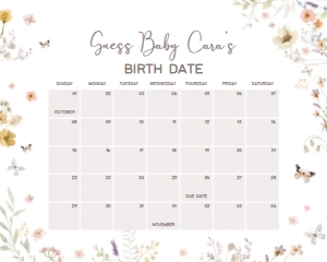 1020 Wildflower Baby Shower Calendar 10x8 A: 1020 Wildflower Baby Shower Calendar
