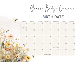 1022 Mommy to Bee Baby Shower Calendar 20x16 B: 1022 Mommy to Bee Baby Shower Calendar