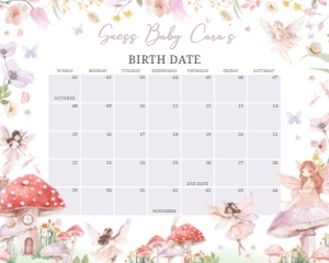 1011 Little Fairy Baby Shower Calendar 10x8 B: 1011 Little Fairy Baby Shower Calendar